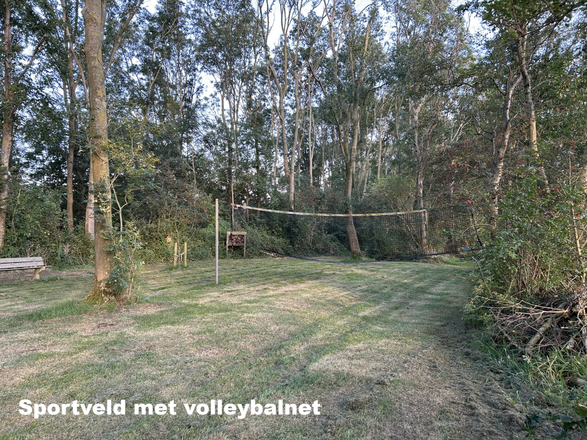 Sportveld